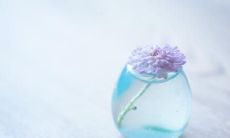 夏日甜蜜爱恋：满载温馨、浪漫与激情的一系列句子