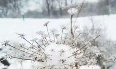 寒冬至日：用句子述说内心感受