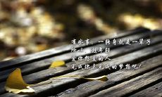 描述爱情思念的长句:深入人心的爱情思念,如同细流不息般慢慢地流淌,跨越时空和距离的限制,成为燃烧于内心深处的火焰,唤醒每一个瞬间的温馨回忆,仿佛在生命中留下永恒的烙印,无尽地散发着无尽的温暖和快乐
