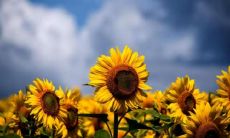 分享给你,让你的朋友圈更加有灵魂和格调的优美句子!