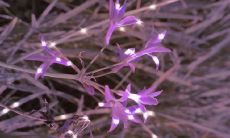 惊心动魄的甜蜜情话,彰显浓浓爱意,超甜超宠暖心温暖人心!