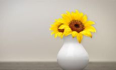 文艺句子中的甜美爱情：如诗如画，令人陶醉