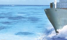 精英球队口号:掌声雷鸣,炫耀霸气,令人惊叹的威慑力!