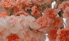 详细介绍8.0新版本中涉及状态变化的文案和内容的全面更新