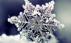 经典美句：美丽绚烂的雪花飘洒而下，银妆素裹的世界仿若梦境中的仙境