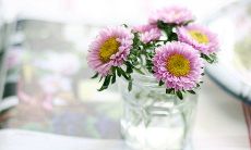 唯美句子，表达对心仪女子的爱慕之情