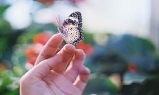 Inspirational and Uplifting Quotes to Fill Your Day with Positivity and Encouragement in English.