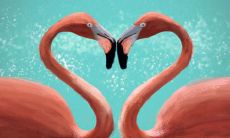 用于祝福美好爱情的诗句：一系列美妙的爱情祝福诗句