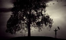 一段伤感而富有唯美色彩的句子，言简意赅地表达内心深处的感伤与情感之痛