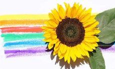 在生命的旅途中,所能听到的最为珍贵的言辞,莫过于那刻骨铭心的亲情呼唤