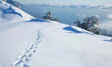 汇总2022年7月与8月的各种搞笑、感人、励志说说,送别七月迎接八月,让你笑着迎接美好的未来!