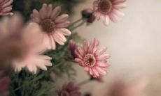 经历了快乐之后，所留下的只有回忆的珍藏句子