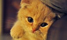 亲子期待：为保证孩子快乐、健康、全面成长而努力