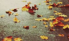 天气阴沉,外面雨点噼啪落下,让心情变得烦躁不安