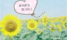 与好友一起分享快乐，涌现出轻松、欢愉的句子：和密友一起感受欢声笑语，让好心情持续不断！