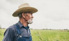 揭示农民心酸的深刻言辞：探究乡村状况与农业挑战