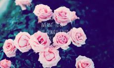 和好友一同度过愉快时光的愉悦语句， 心情舒畅的欢聚语言表达