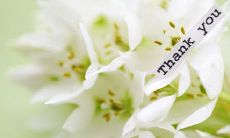 如何用感谢的语言表达我们的感激之情：一些能够表达感激的句子