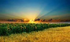 富有激情的英语跑步口号,鼓励你在赛道上挑战极限!