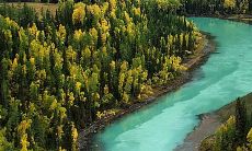 追溯清澈流水,探寻迂回曲折的小溪之美的精彩句子