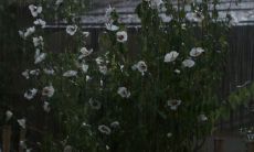 探寻伤感深处,引发心痛的句子语录