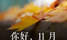 探秋十一月，带你搭上个性表达之旅——无尽创意，蕴藏着无限可能的十一月个性朋友圈说说大合辑！