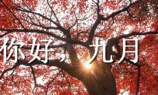 九月,我希望你能够给我留下美好记忆——关于待遇、生活、爱情和成长的分享