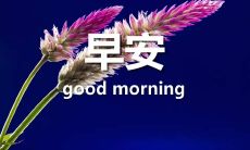 每日醒来透过早安暖心话，轻松迎接美好一天，简单易行的早安心语简单一句话