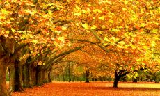 在天气转凉之际，怎样用短信问候语温暖彼此的心？