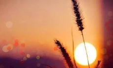 分享正能量,鼓舞斗志,激发动力——值得尝试的大清早朋友圈发文技巧