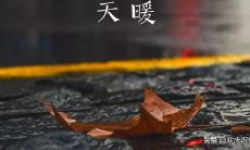 温暖冬日问候短信:如何用简短的文字传递温馨?