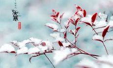 经典诗句欣赏：描绘大寒节气美景的绝妙诗句