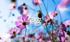 如何用简短一句话表达早安问候语?