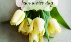 2022年最新早安祝福图片，史上最美、最贴心、最具创意的早安图集！