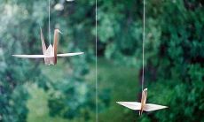 探究三观谐合的温柔句子：提炼出一句深刻精辟的言辞