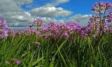 向家具顾客发送问候短信,提高客户满意度