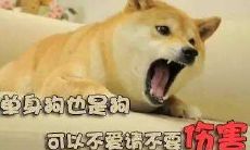 分享:我这个七夕一只单身狗的搞笑朋友圈集锦!