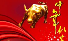 2021牛年春联全集:包含各式各样的对联,配有搭配精美的横批,让你在新春佳节里与亲朋好友一起分享美好的祝愿与祝福!