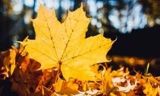 揭示人性本质和社会现状的深刻见解