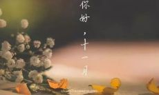 十一月欢迎你,让我们共同来分享今日经典而有意义的早安说说!