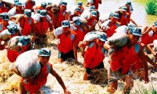 赞美抗洪壮举的吟诗歌颂,对勇士的无私奉献进行赞颂,以振奋亡羊补牢的精神来填补鸿沟,加深人们对自然灾害的认识,共同呼吁保护环境,让人们更加爱惜生态环境