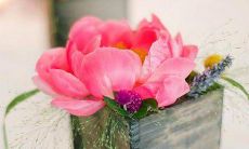 生活简单精致句子