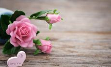 默默喜欢一个人的说说不明显表达