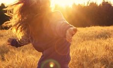 优美意境的句子