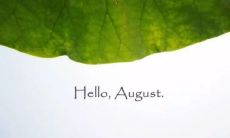 关于八月的唯美句子、图片