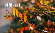 八月最后一天的心情说说、图片